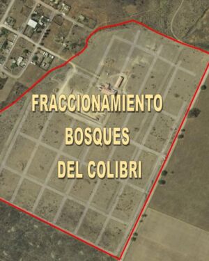 LOTES BOSQUES DEL COLOBRI