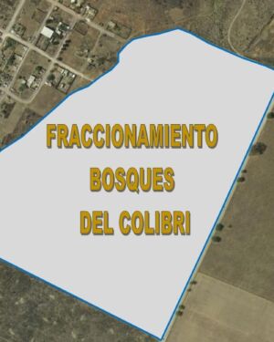 LOTES BOSQUES DEL COLOBRI