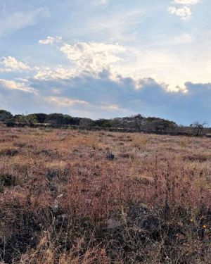 LOTE VISTAS SAN CRISTOBAL