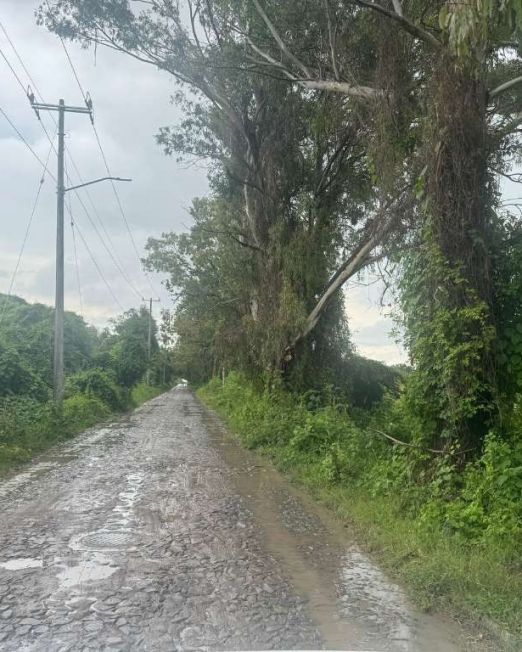 WhatsApp Image 2026-01-27 at 3.10.57 PM