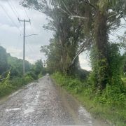 LOTE CHAPALA NORTE HACIENDA LA LABOR 37