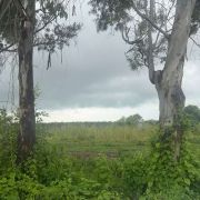 LOTE CHAPALA NORTE HACIENDA LA LABOR 37