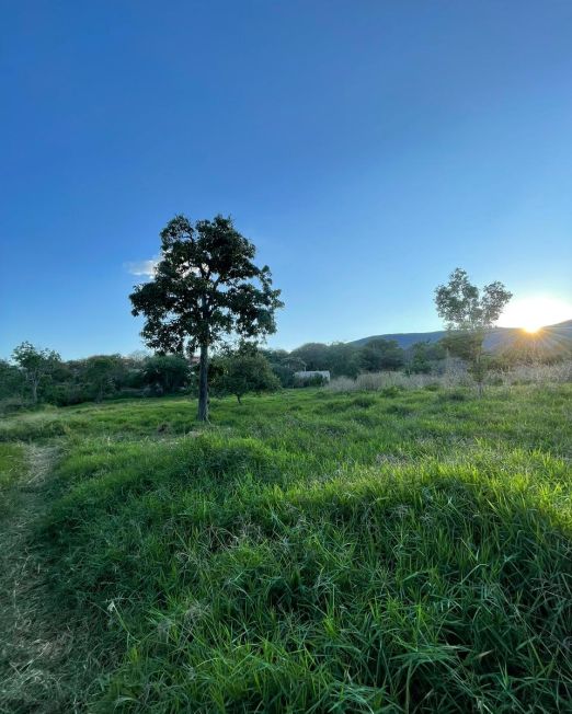 WhatsApp Image 2026-02-05 at 3.49.38 PM (1)