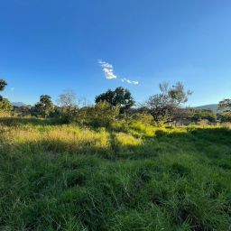 LOTE LOS MANGOS