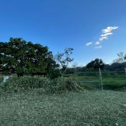 LOTE LOS MANGOS