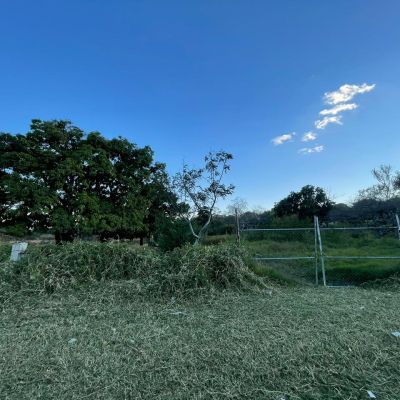 LOTE LOS MANGOS